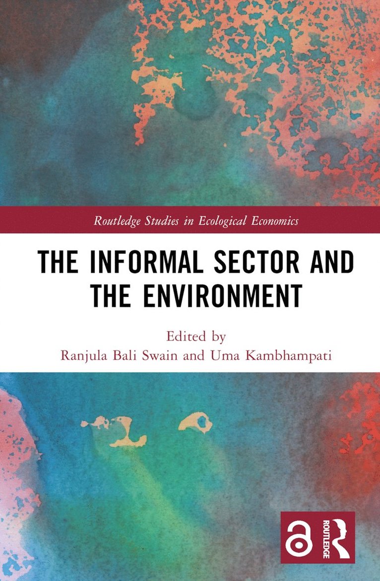 Ranjula Bali Swain, Uma Kambhampati - Informal Sector and the Environment, Inbunden