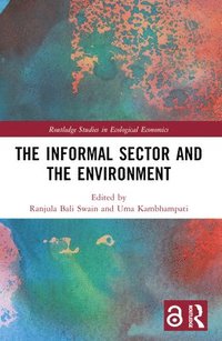 bokomslag The Informal Sector and the Environment