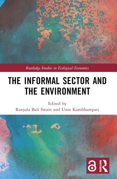 Ranjula Bali Swain, Uma Kambhampati - Informal Sector and the Environment, Häftad