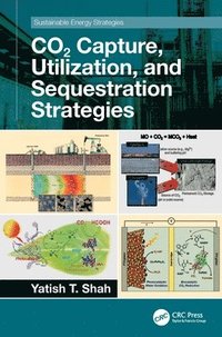 bokomslag CO2 Capture, Utilization, and Sequestration Strategies