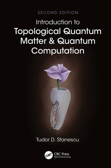 bokomslag Introduction to Topological Quantum Matter & Quantum Computation