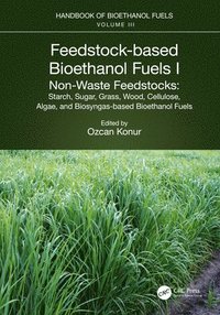 bokomslag Feedstock-based Bioethanol Fuels. I. Non-Waste Feedstocks