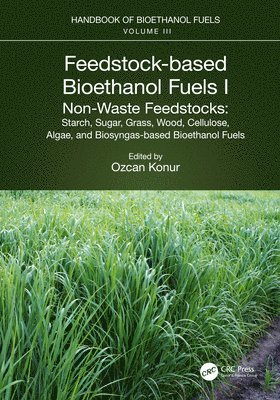 bokomslag Feedstock-based Bioethanol Fuels. I. Non-Waste Feedstocks