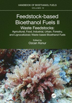 Feedstock-based Bioethanol Fuels. II. Waste Feedstocks 1