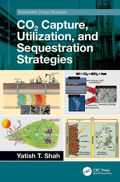 Yatish T. Shah - CO2 Capture, Utilization, and Sequestration Strategies, Häftad