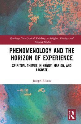 bokomslag Phenomenology and the Horizon of Experience