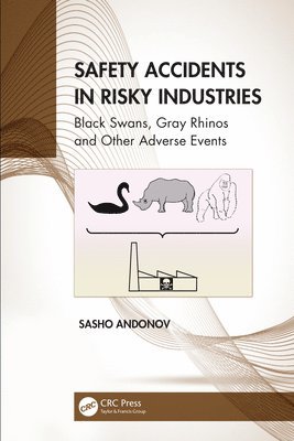 Safety Accidents in Risky Industries 1