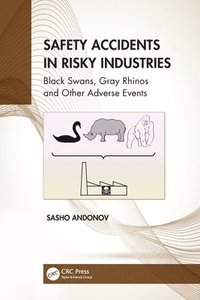 bokomslag Safety Accidents in Risky Industries