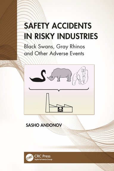 bokomslag Safety Accidents in Risky Industries