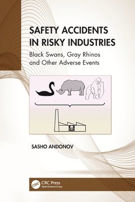 Safety Accidents in Risky Industries 1