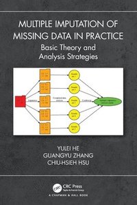 bokomslag Multiple Imputation of Missing Data in Practice