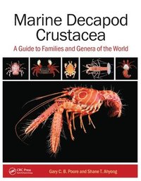 bokomslag Marine Decapod Crustacea