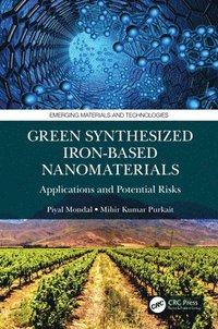 bokomslag Green Synthesized Iron-based Nanomaterials