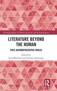 bokomslag Literature Beyond the Human