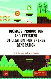 bokomslag Biomass Production and Efficient Utilization for Energy Generation