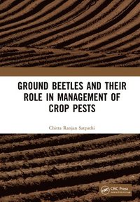 bokomslag Ground Beetles and Their Role in Management of Crop Pests