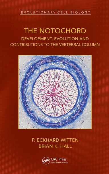 P. Eckhard Witten, Brian K. Hall - Notochord, Häftad