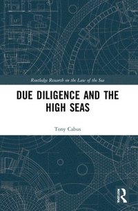 bokomslag Due Diligence and the High Seas