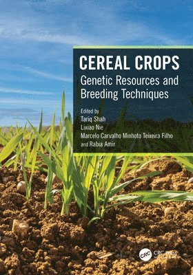 Cereal Crops 1