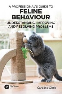 bokomslag A Professionals Guide to Feline Behaviour