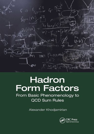 bokomslag Hadron Form Factors