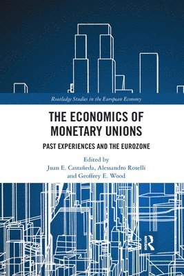 Juan E. Castañeda, Alessandro Roselli, Geoffrey E. Wood, Juan E. Castaneda - Economics of Monetary Unions, Häftad