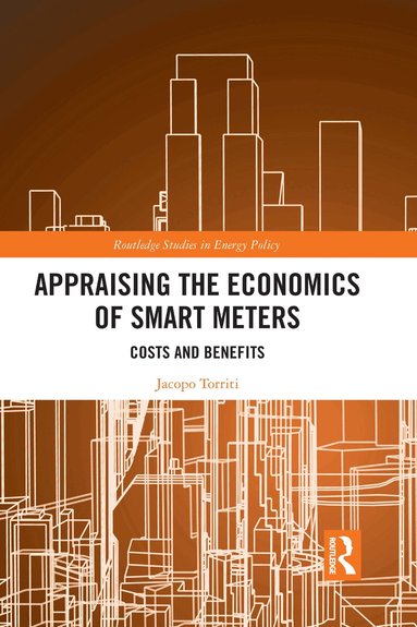 Jacopo Torriti - Appraising the Economics of Smart Meters, Häftad