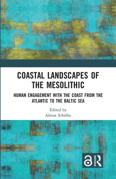 bokomslag Coastal Landscapes of the Mesolithic