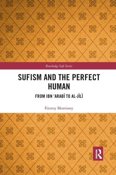 bokomslag Sufism and the Perfect Human