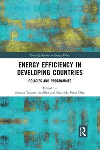 bokomslag Energy Efficiency in Developing Countries