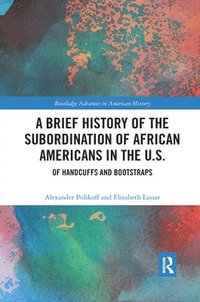 bokomslag A Brief History of the Subordination of African Americans in the U.S.