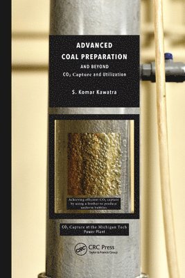 Advanced Coal Preparation and Beyond 1