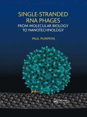 Single-stranded RNA phages 1