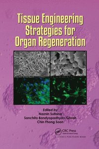 bokomslag Tissue Engineering Strategies for Organ Regeneration