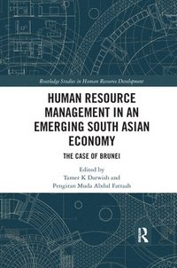 bokomslag Human Resource Management in an Emerging South Asian Economy