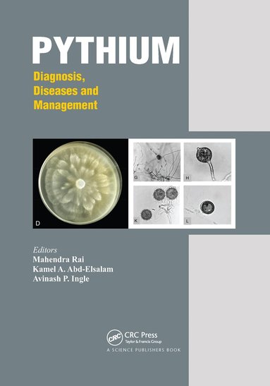Mahendra Rai, Kamel Ahmed Abd-Elsalam, Avinash P. Ingle - Pythium, Häftad