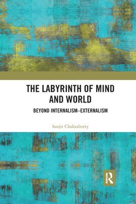 bokomslag The Labyrinth of Mind and World