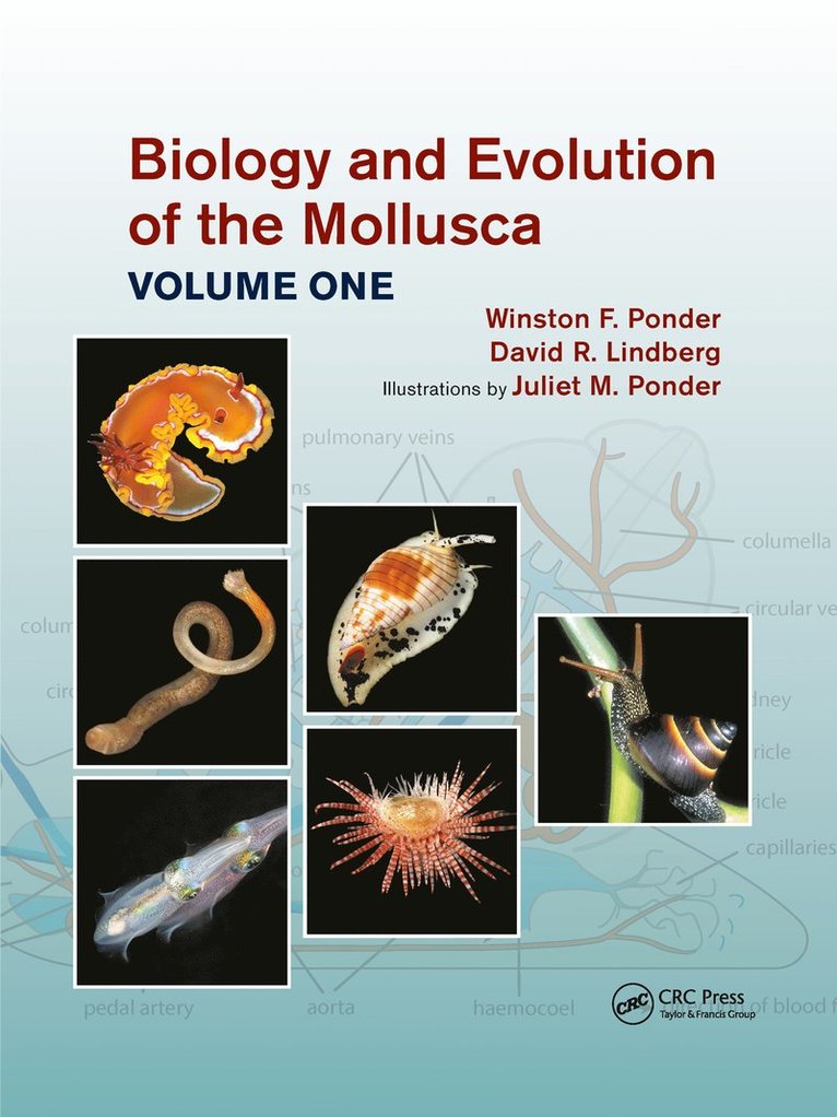 Winston Frank Ponder, David R. Lindberg, Juliet Mary Ponder, USA) Lindberg, David R. (University of California - Biology and Evolution of the Mollusca, Volume 1, Häftad