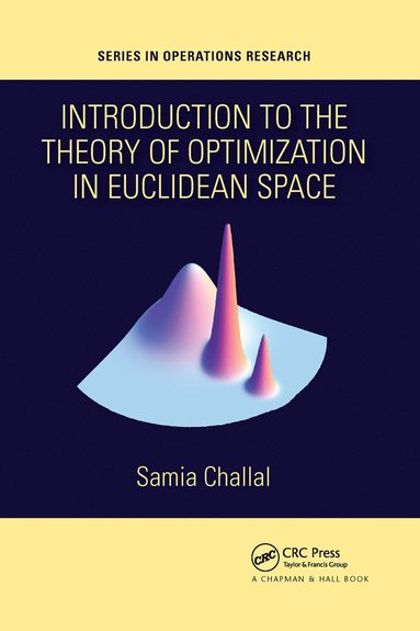 bokomslag Introduction to the Theory of Optimization in Euclidean Space