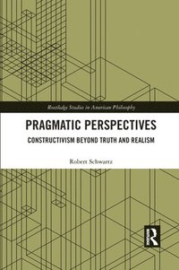 bokomslag Pragmatic Perspectives