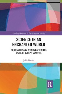 bokomslag Science in an Enchanted World