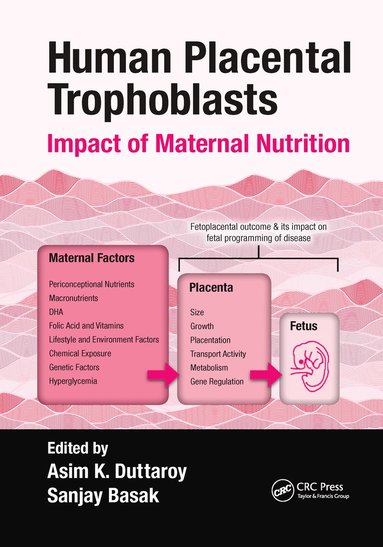 bokomslag Human Placental Trophoblasts