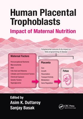 Asim K. Duttaroy, Sanjay Basak - Human Placental Trophoblasts, Häftad