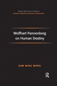 bokomslag Wolfhart Pannenberg on Human Destiny