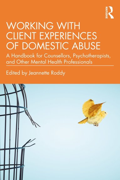 bokomslag Working with Client Experiences of Domestic Abuse