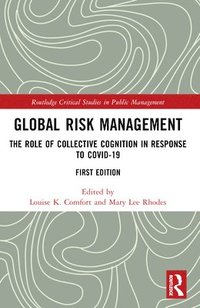bokomslag Global Risk Management