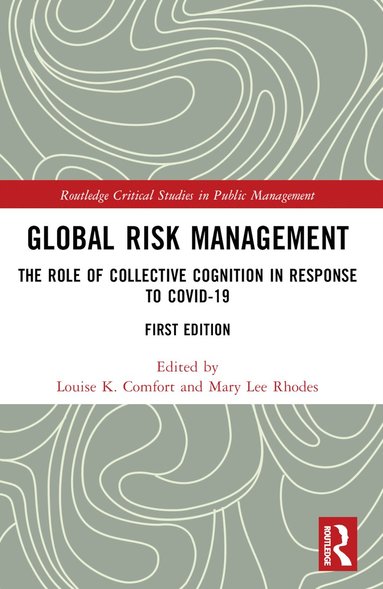 bokomslag Global Risk Management