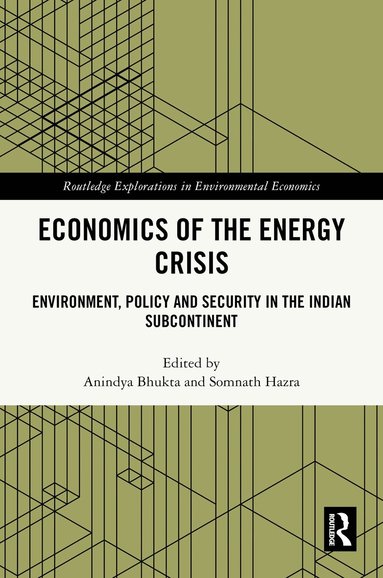 Anindya Bhukta, Somnath Hazra - Economics of the Energy Crisis, Inbunden