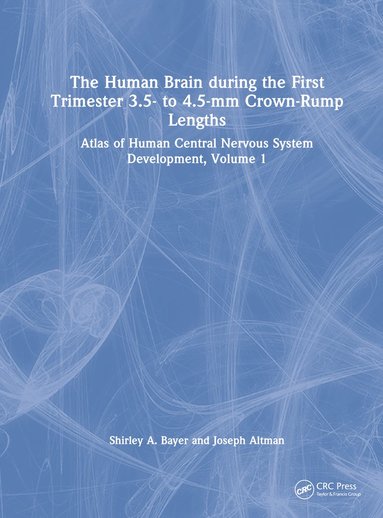 bokomslag Human Brain during the First Trimester 3.5- to 4.5-mm Crown-Rump Lengths