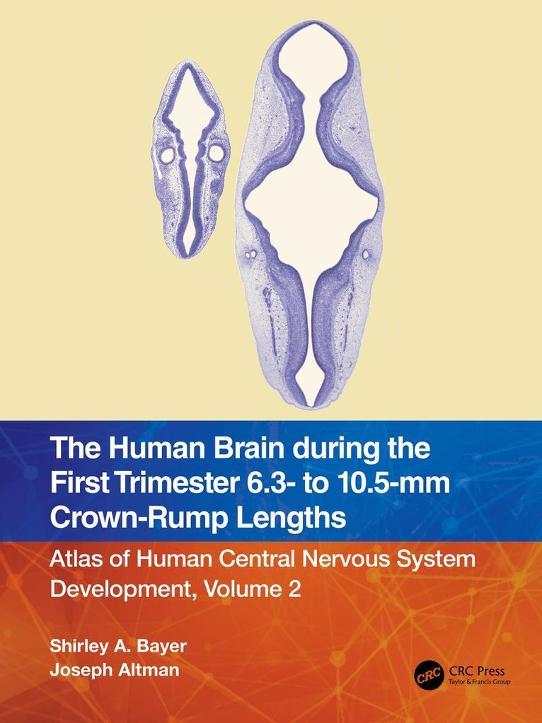Shirley A. Bayer, Joseph Altman - Human Brain during the First Trimester 6.3- to 10.5-mm Crown-Rump Lengths, Häftad